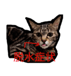 ちょっと使いづらい猫のスタンプ（個別スタンプ：3）