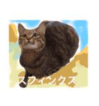 ちょっと使いづらい猫のスタンプ（個別スタンプ：5）