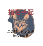 ちょっと使いづらい猫のスタンプ（個別スタンプ：6）