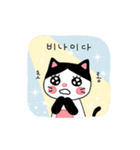 poker face meo（個別スタンプ：3）