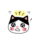 poker face meo（個別スタンプ：5）