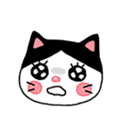 poker face meo（個別スタンプ：9）