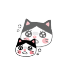 poker face meo（個別スタンプ：14）