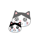 poker face meo（個別スタンプ：15）