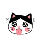 poker face meo（個別スタンプ：19）