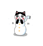 poker face meo（個別スタンプ：24）