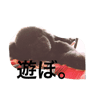 たいスタ（個別スタンプ：3）
