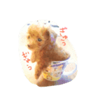 わが家のワンこ（個別スタンプ：1）
