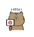 讃岐弁のにゃんこ（個別スタンプ：1）