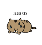 讃岐弁のにゃんこ（個別スタンプ：7）