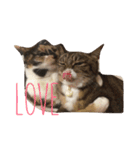 そらとむぎ。（個別スタンプ：1）