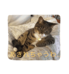 そらとむぎ。（個別スタンプ：2）