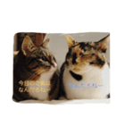 そらとむぎ。（個別スタンプ：8）