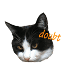ライトな生活（個別スタンプ：8）