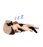 ライトな生活（個別スタンプ：23）