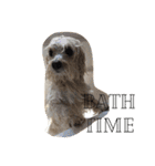 犬のヴィくん(挨拶編)（個別スタンプ：14）