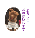 クリパちゃん（個別スタンプ：11）