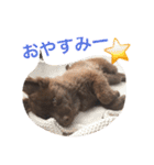 クリパちゃん（個別スタンプ：14）