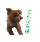クリパちゃん（個別スタンプ：15）