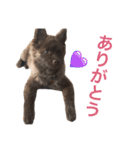 クリパちゃん（個別スタンプ：22）