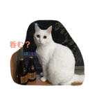 ちーちゃん(=^x^=)（個別スタンプ：2）