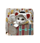 ちーちゃん(=^x^=)（個別スタンプ：3）