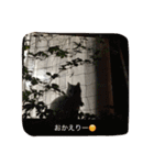 ちーちゃん(=^x^=)（個別スタンプ：10）