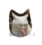 ちーちゃん(=^x^=)（個別スタンプ：13）