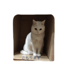 ちーちゃん(=^x^=)（個別スタンプ：24）