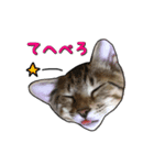 ハク・マル・みにゃ・ちゃた・のの（個別スタンプ：4）