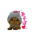 河瀬家にゃんこ  summer（個別スタンプ：4）