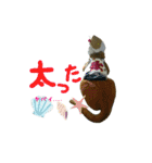 河瀬家にゃんこ  summer（個別スタンプ：21）
