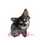 アイルオンのスタンプ（個別スタンプ：1）