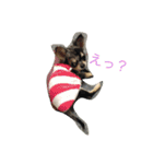 アイルオンのスタンプ（個別スタンプ：9）