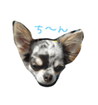 アイルオンのスタンプ（個別スタンプ：12）