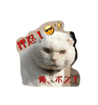 押忍、おれボス！（個別スタンプ：1）