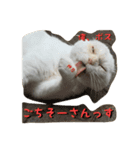 押忍、おれボス！（個別スタンプ：2）
