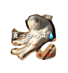押忍、おれボス！（個別スタンプ：4）
