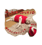 押忍、おれボス！（個別スタンプ：7）