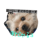 ほっち時々キー（個別スタンプ：2）
