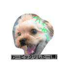 ほっち時々キー（個別スタンプ：3）