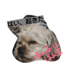 ほっち時々キー（個別スタンプ：5）