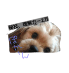 ほっち時々キー（個別スタンプ：6）