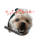 ほっち時々キー（個別スタンプ：7）