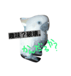 ほっち時々キー（個別スタンプ：10）