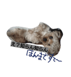 ほっち時々キー（個別スタンプ：13）