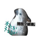 ほっち時々キー（個別スタンプ：14）