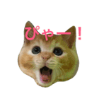 チビしゅんすけ（個別スタンプ：1）