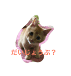 チビしゅんすけ（個別スタンプ：2）