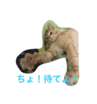 チビしゅんすけ（個別スタンプ：4）
